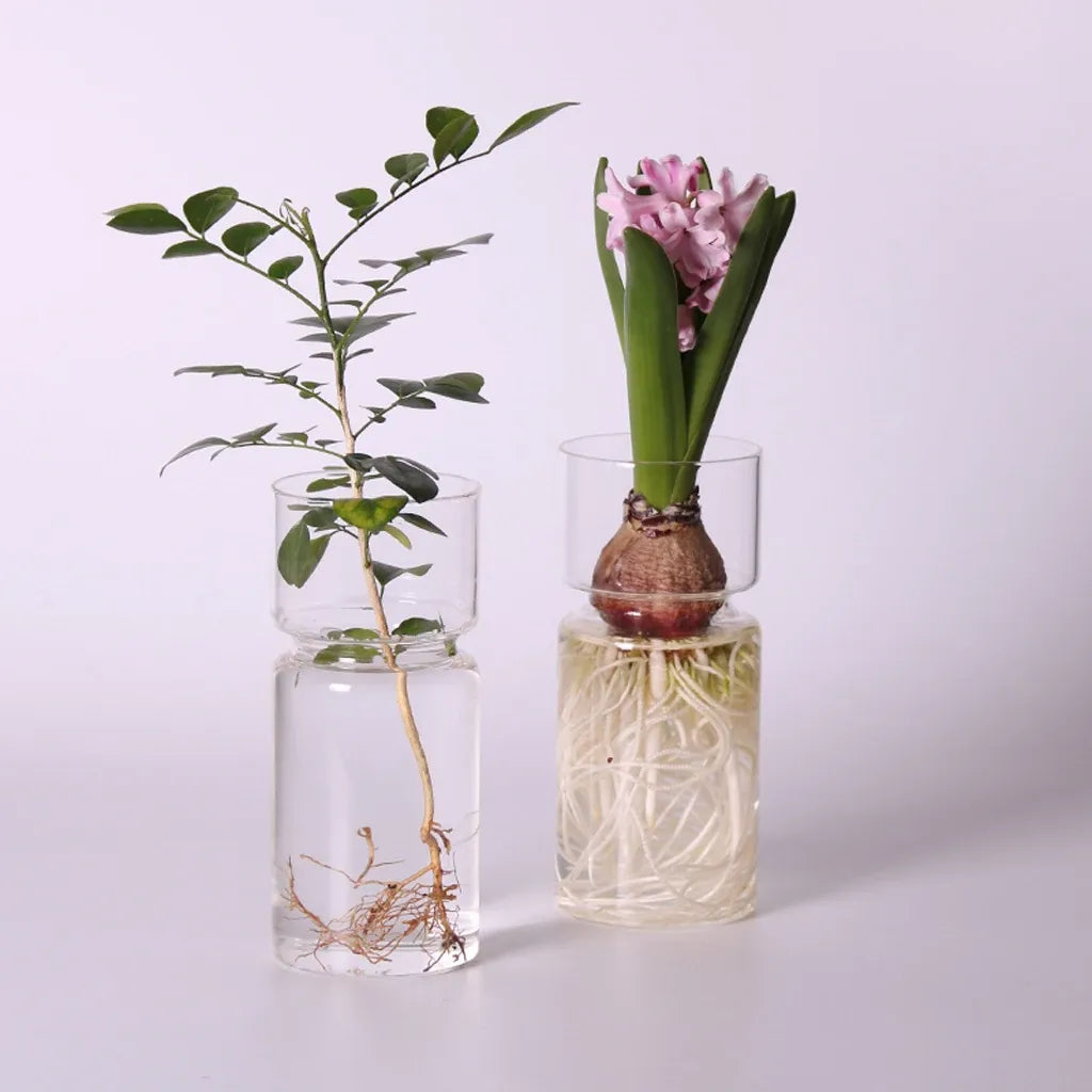 Vase en Verre de Jacinthe Transparent